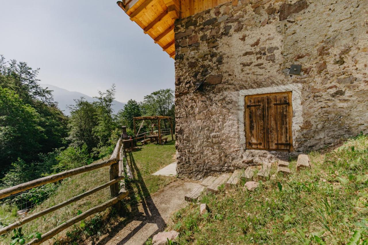 Odomi Maso Nel Bosco Villa Sant'Orsola ภายนอก รูปภาพ